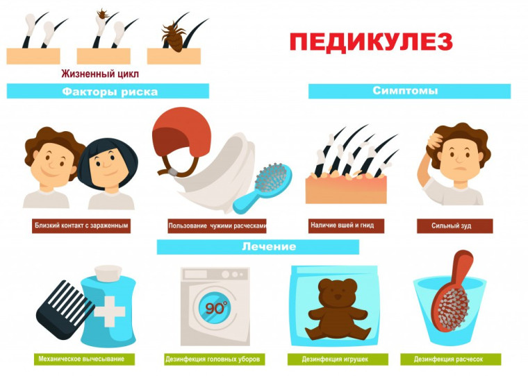Предупреждение педикулеза.
