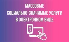 Массовые социально-значимые услуги в сфере образования.